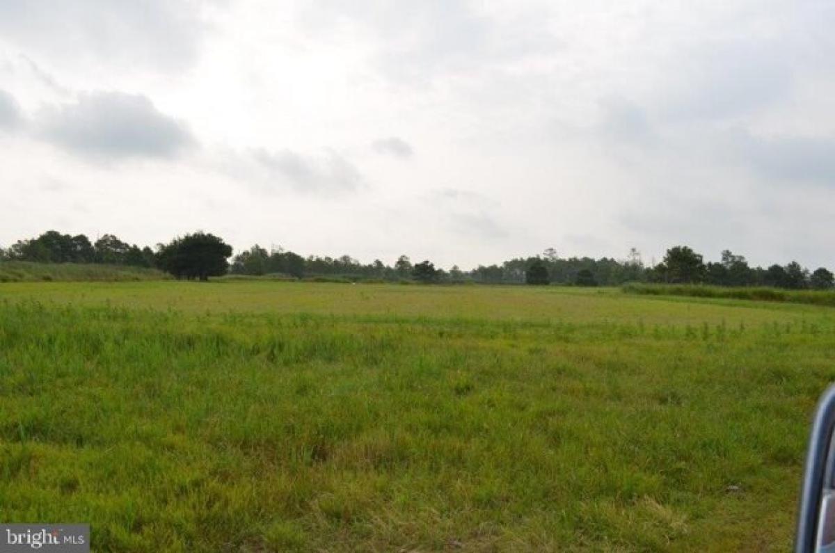 Picture of Residential Land For Sale in Cambridge, Maryland, United States