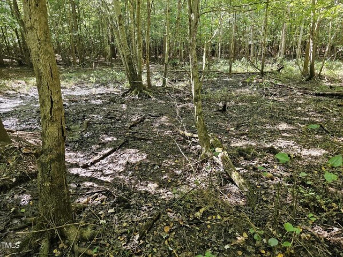 Picture of Residential Land For Sale in Red Oak, North Carolina, United States