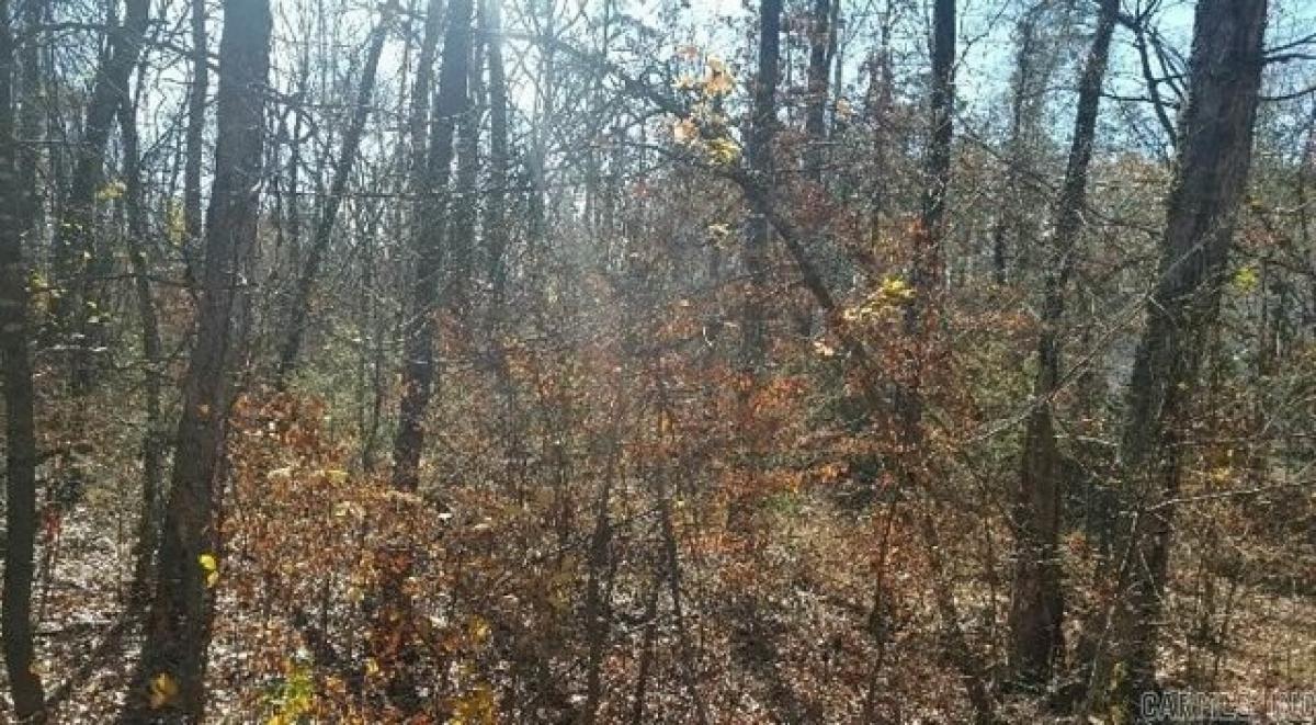 Picture of Residential Land For Rent in Hot Springs Village, Arkansas, United States