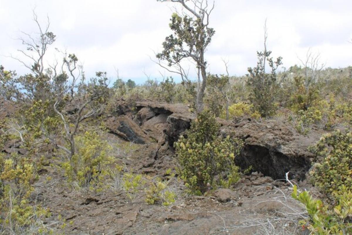 Picture of Residential Land For Sale in Ocean View, Hawaii, United States