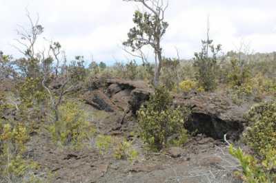 Residential Land For Sale in Ocean View, Hawaii