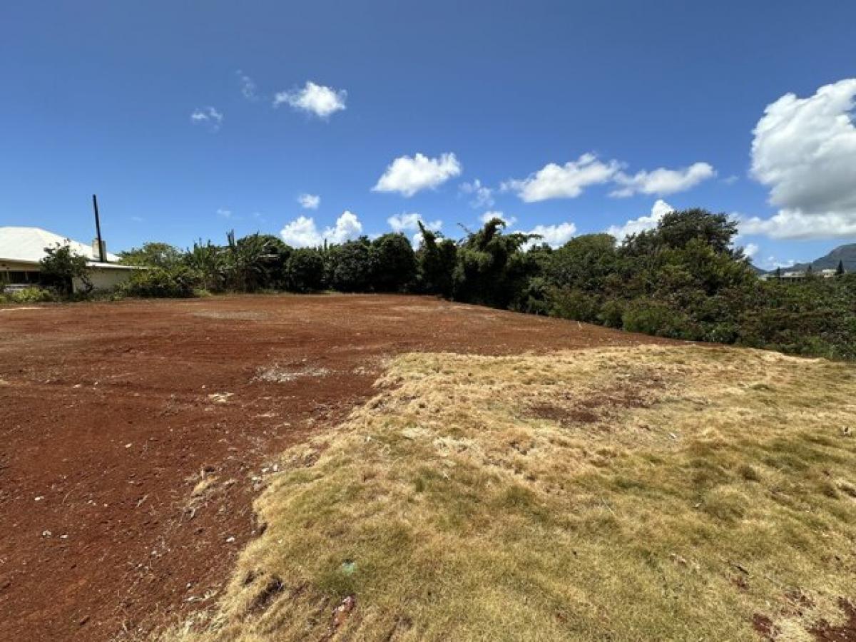 Picture of Residential Land For Sale in Lihue, Hawaii, United States