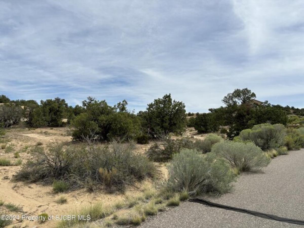 Picture of Residential Land For Sale in Farmington, New Mexico, United States