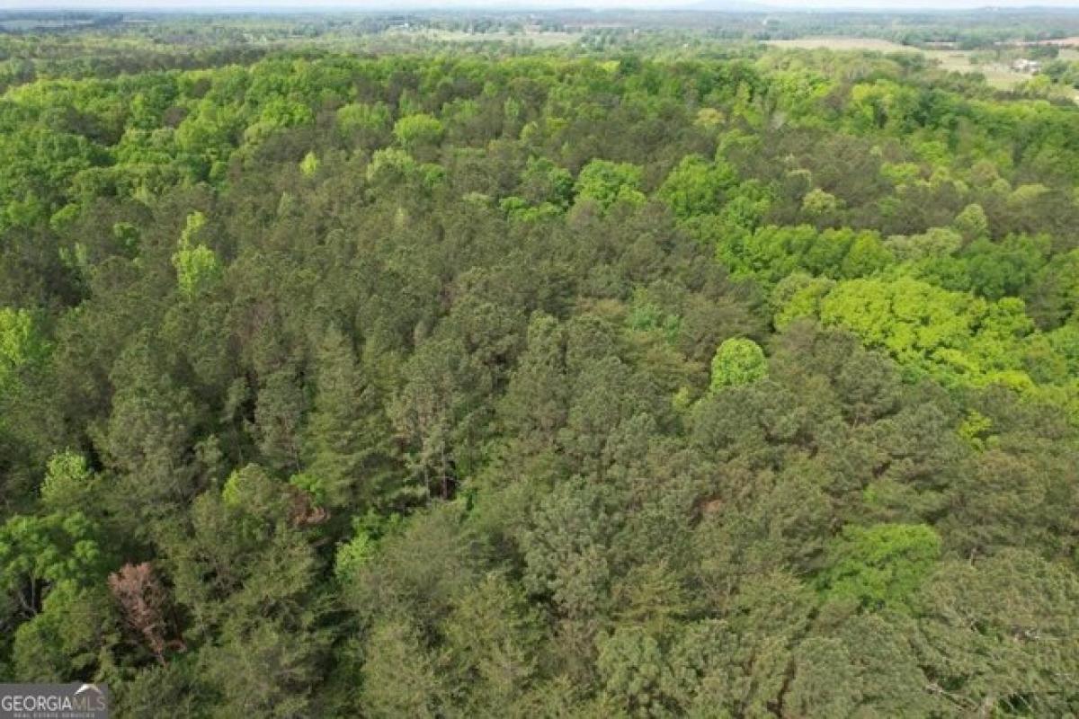 Picture of Residential Land For Sale in Cedartown, Georgia, United States
