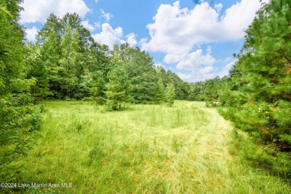 Picture of Residential Land For Sale in Dadeville, Alabama, United States