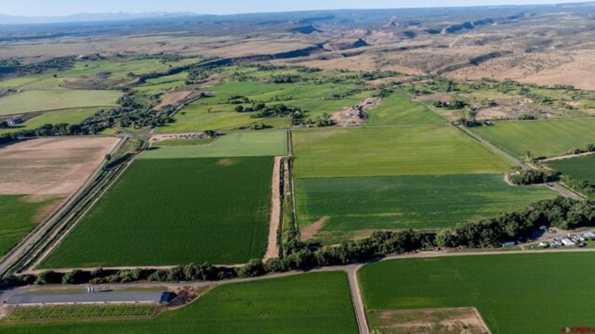 Picture of Residential Land For Sale in Olathe, Colorado, United States