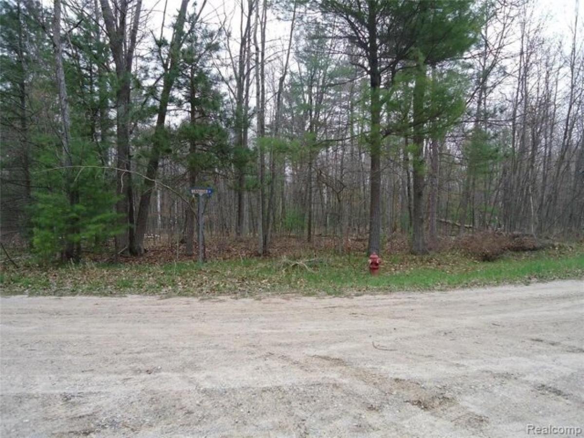 Picture of Residential Land For Rent in Oscoda, Michigan, United States