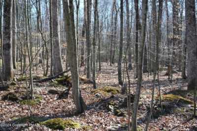 Residential Land For Rent in Tannersville, Pennsylvania