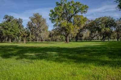 Residential Land For Sale in Reddick, Florida