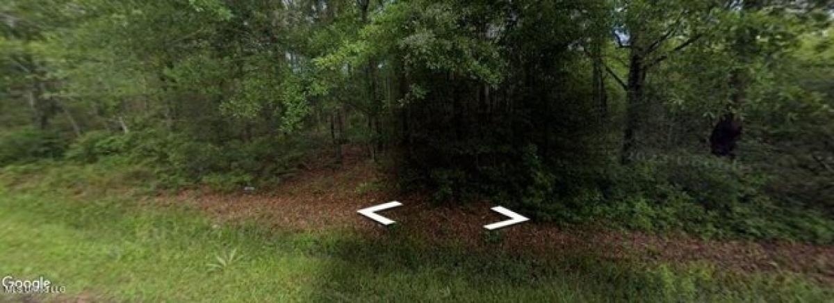 Picture of Residential Land For Rent in Bay Saint Louis, Mississippi, United States