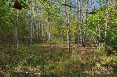 Residential Land For Sale in Rutherfordton, North Carolina