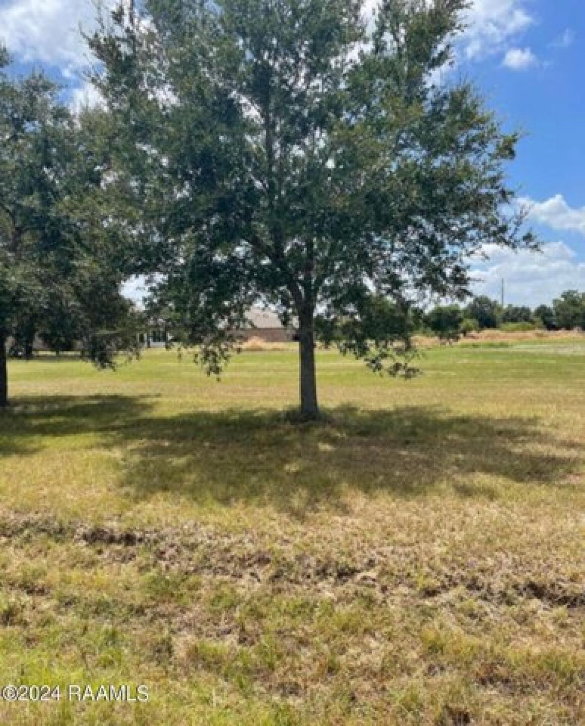 Picture of Residential Land For Sale in Youngsville, Louisiana, United States