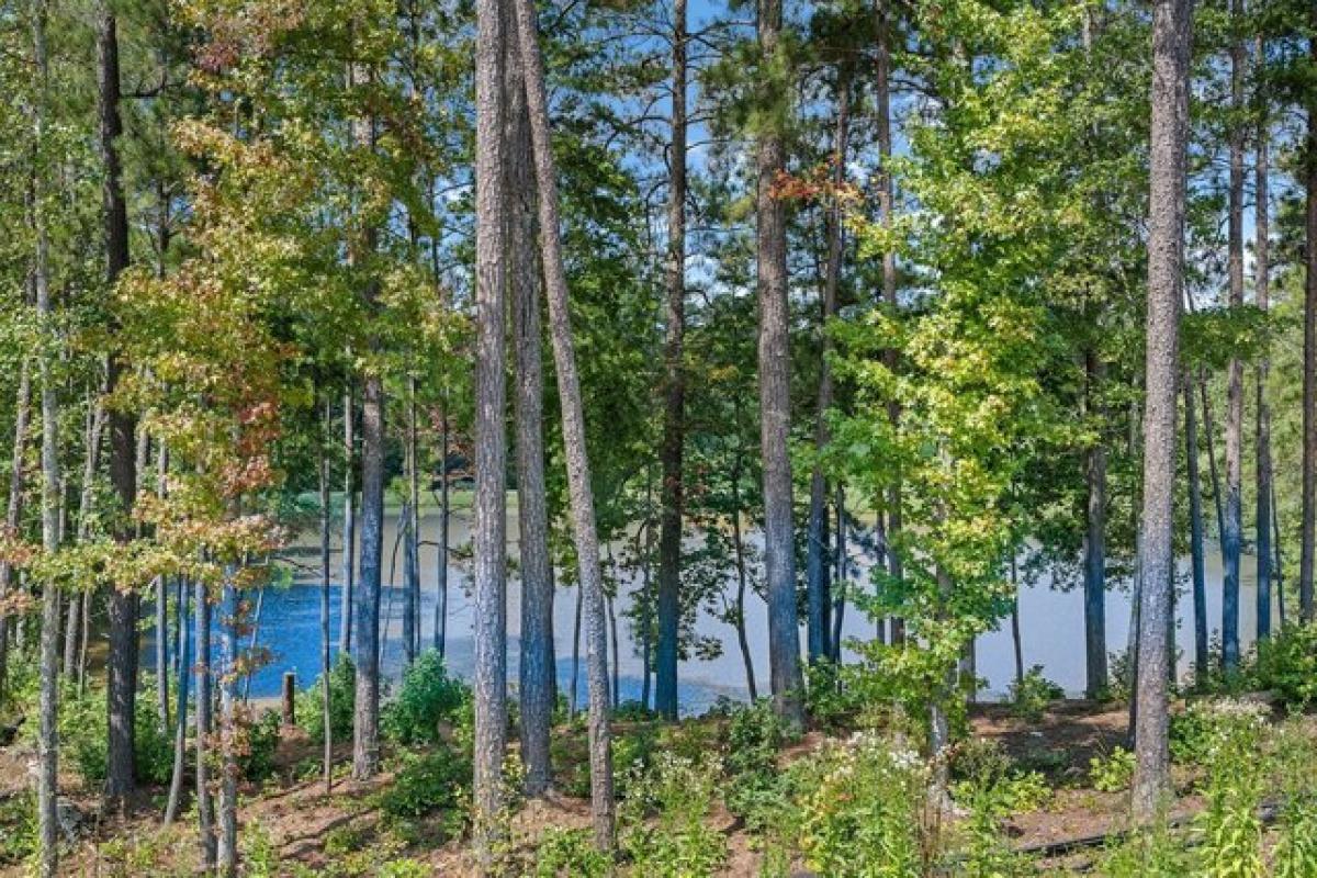 Picture of Residential Land For Sale in Alpharetta, Georgia, United States