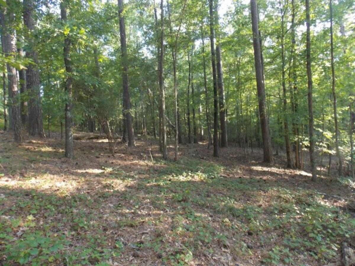 Picture of Residential Land For Sale in Lincolnton, Georgia, United States