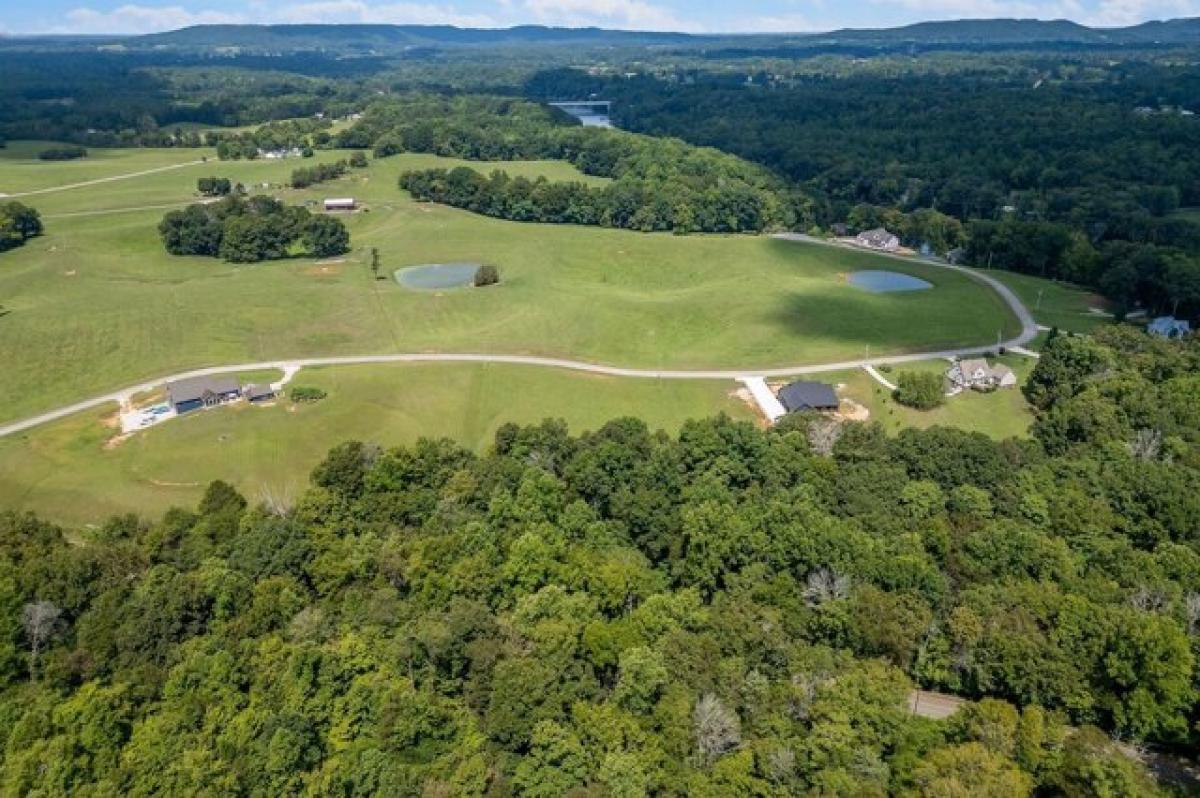 Picture of Residential Land For Sale in Doyle, Tennessee, United States