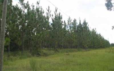 Residential Land For Sale in Live Oak, Florida