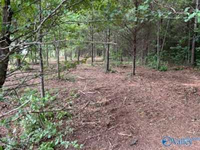 Residential Land For Sale in Trinity, Alabama