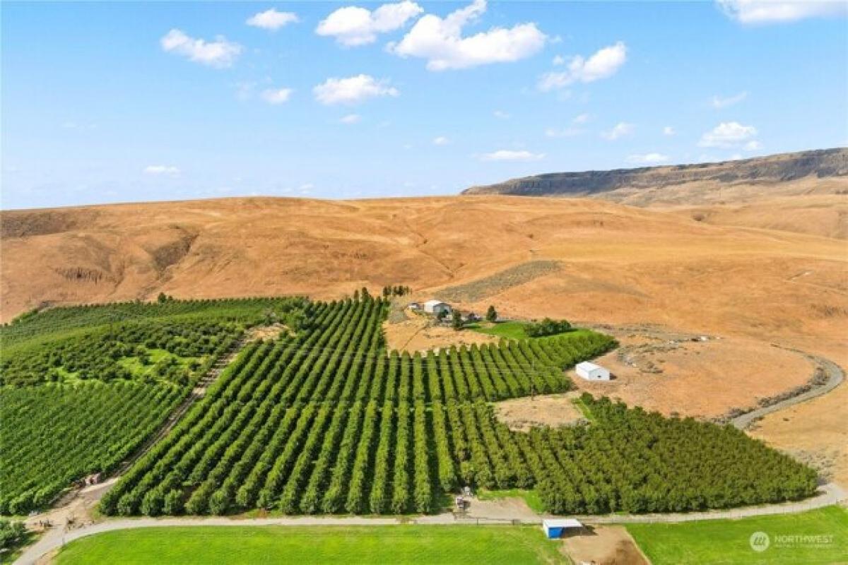 Picture of Residential Land For Sale in East Wenatchee, Washington, United States