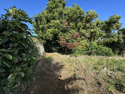 Residential Land For Sale in Hawi, Hawaii