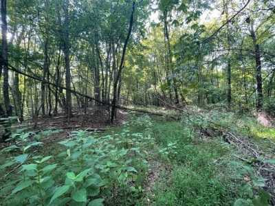 Residential Land For Sale in