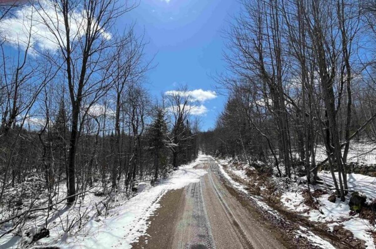 Picture of Home For Sale in Saint Regis Falls, New York, United States