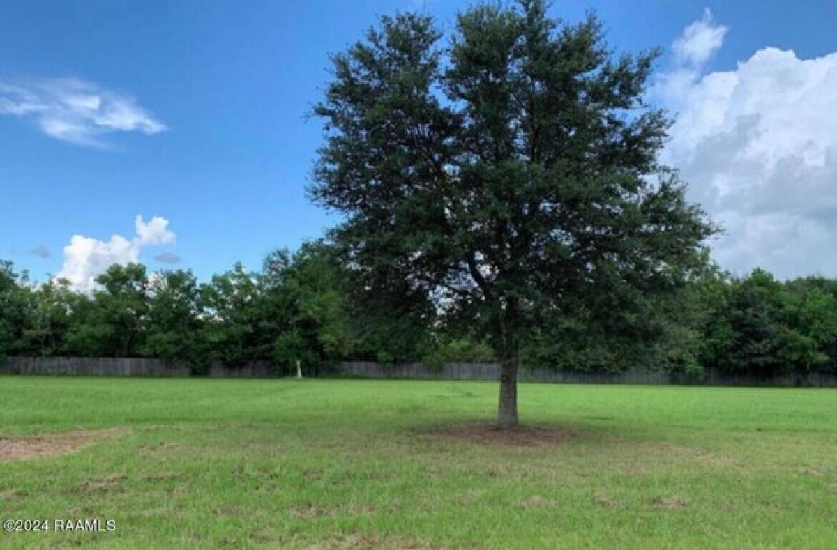 Picture of Residential Land For Sale in Youngsville, Louisiana, United States