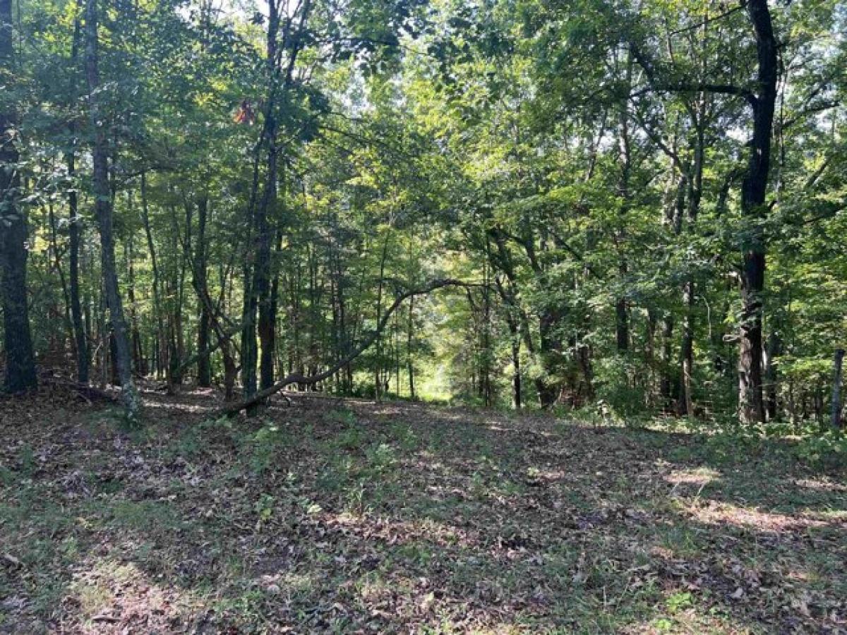 Picture of Residential Land For Sale in Hiwassee, Virginia, United States
