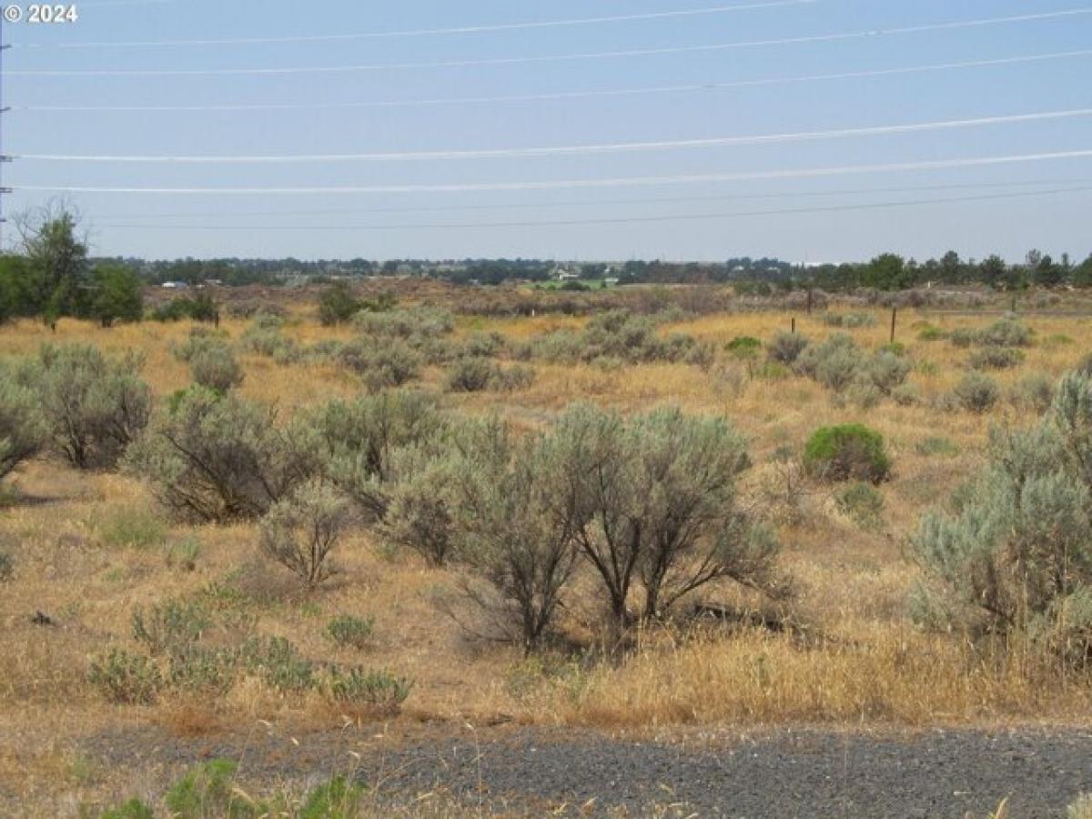 Picture of Residential Land For Sale in Hermiston, Oregon, United States