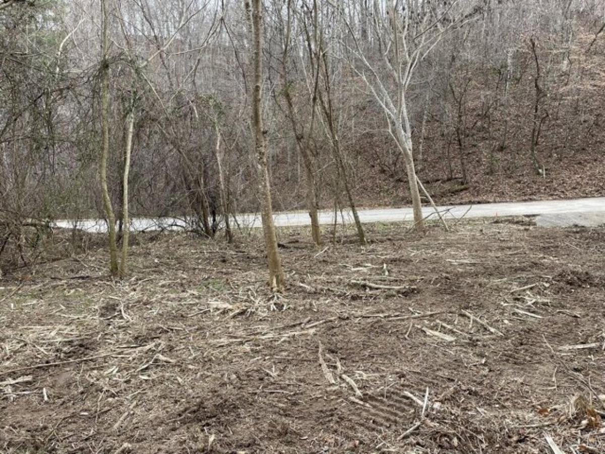 Picture of Residential Land For Sale in Sneedville, Tennessee, United States