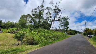 Residential Land For Sale in Hilo, Hawaii