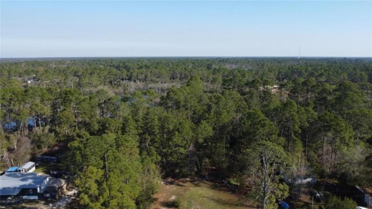 Picture of Residential Land For Rent in Carrabelle, Florida, United States