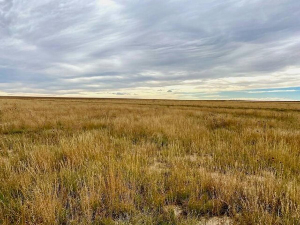 Picture of Residential Land For Sale in Eads, Colorado, United States