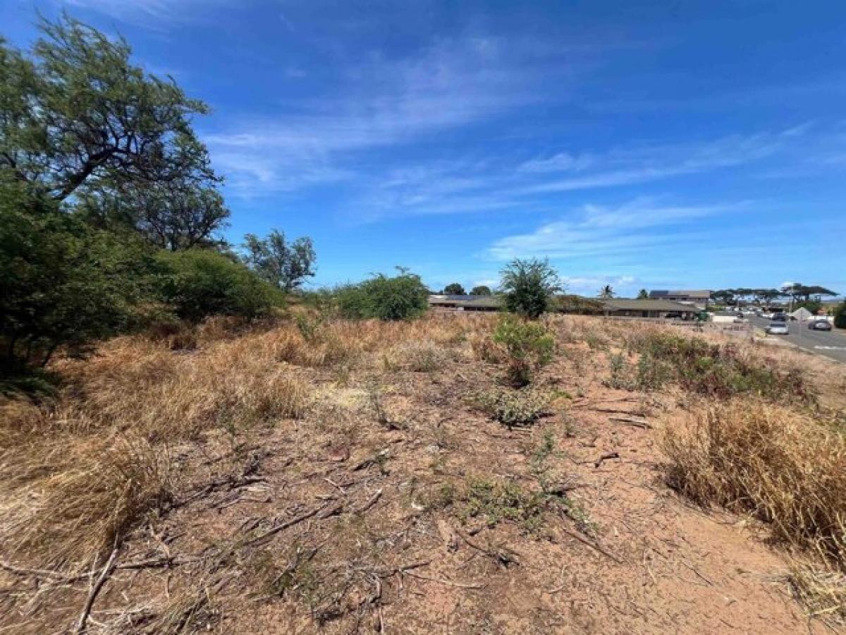 Picture of Residential Land For Sale in Kahului, Hawaii, United States
