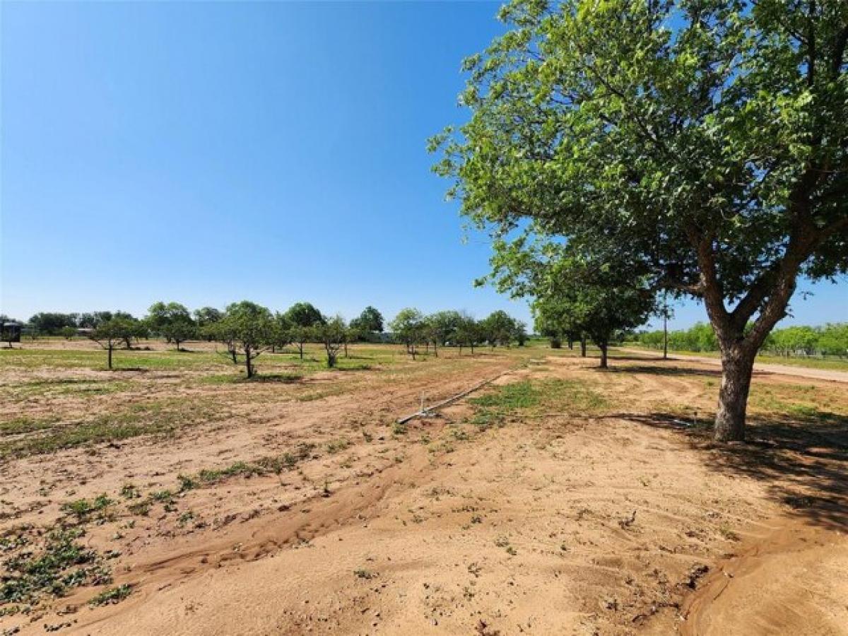 Picture of Residential Land For Sale in Brownwood, Texas, United States