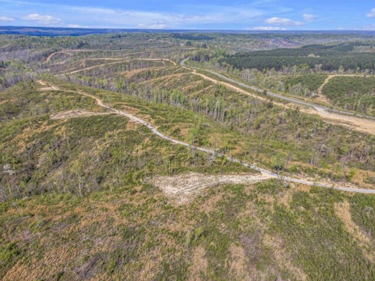 Picture of Residential Land For Sale in Waynesboro, Tennessee, United States