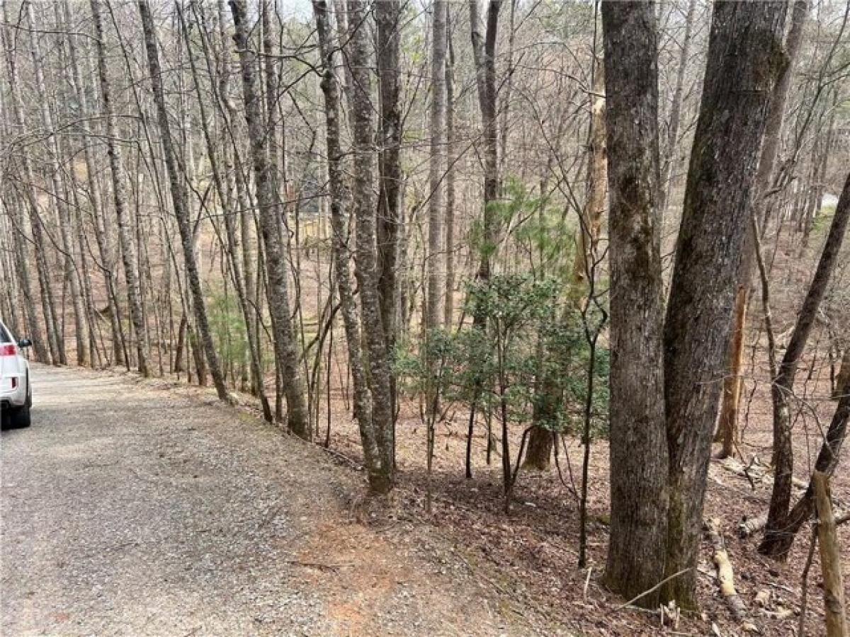 Picture of Residential Land For Rent in Ellijay, Georgia, United States