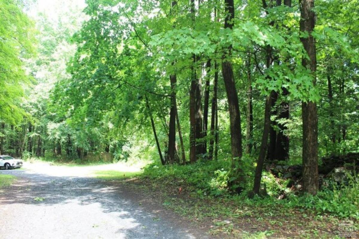 Picture of Residential Land For Sale in Saugerties, New York, United States