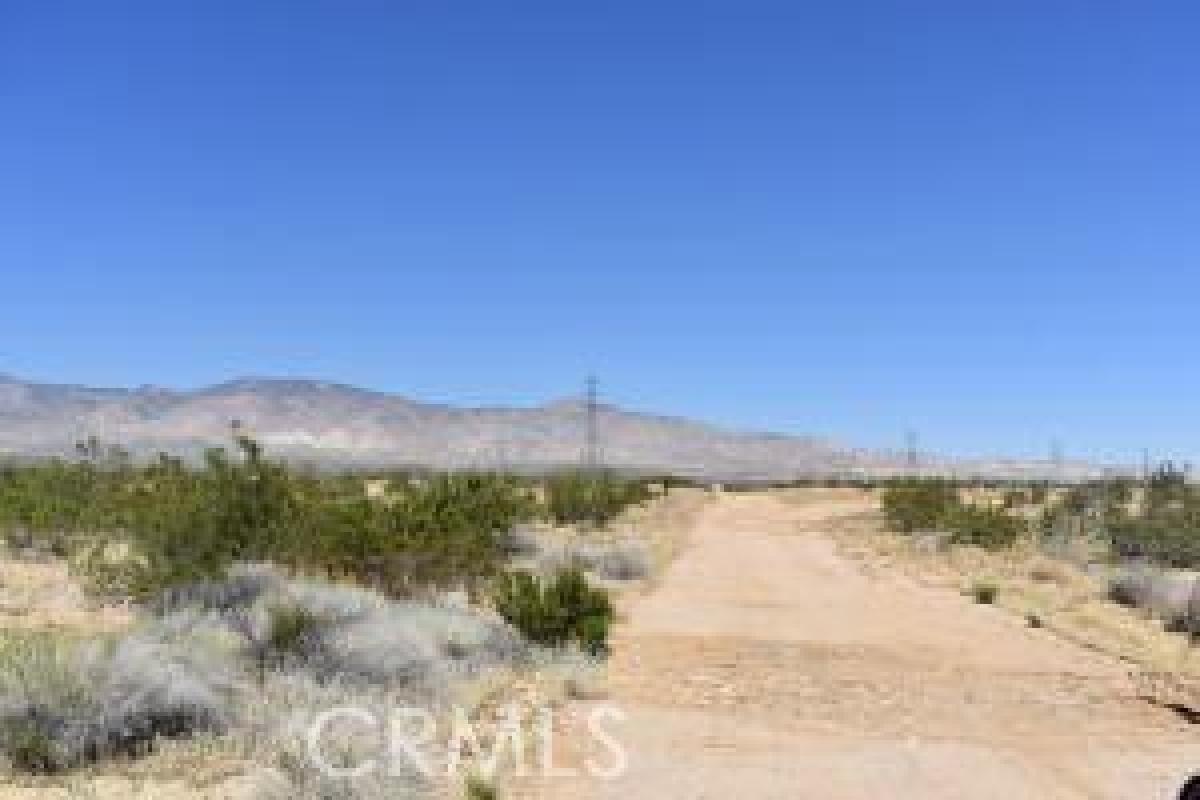 Picture of Residential Land For Rent in Mojave, California, United States