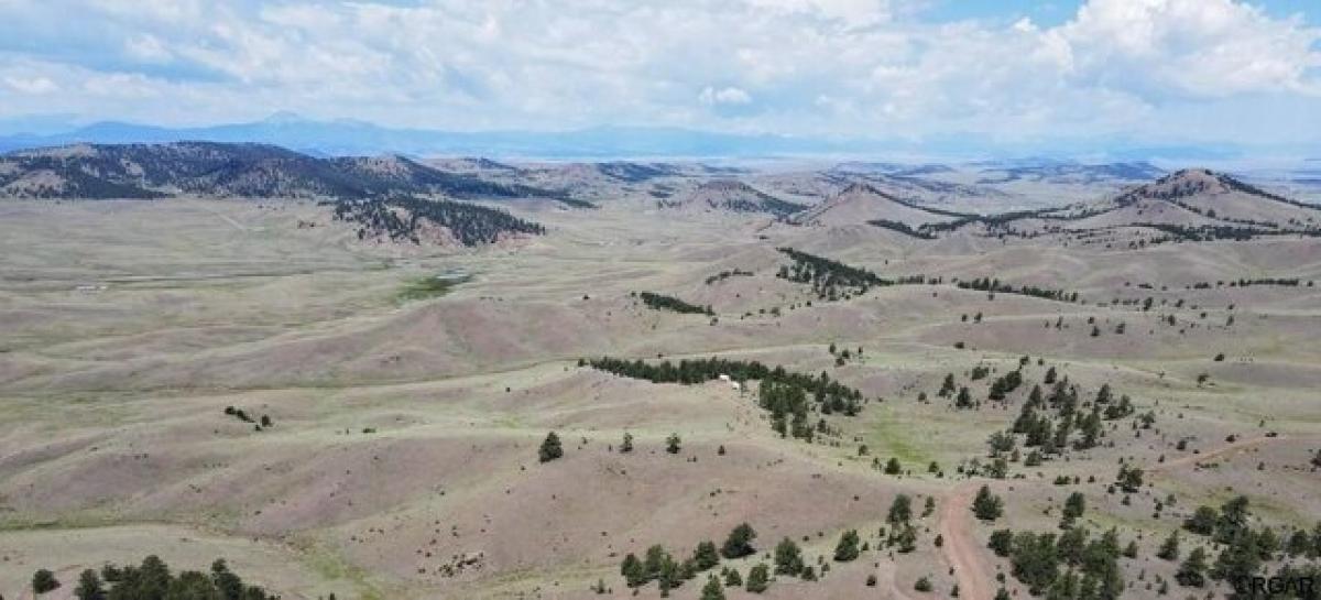 Picture of Residential Land For Sale in Hartsel, Colorado, United States
