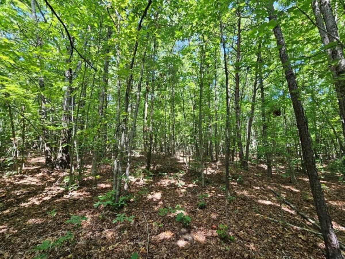 Picture of Residential Land For Sale in Gladstone, Virginia, United States