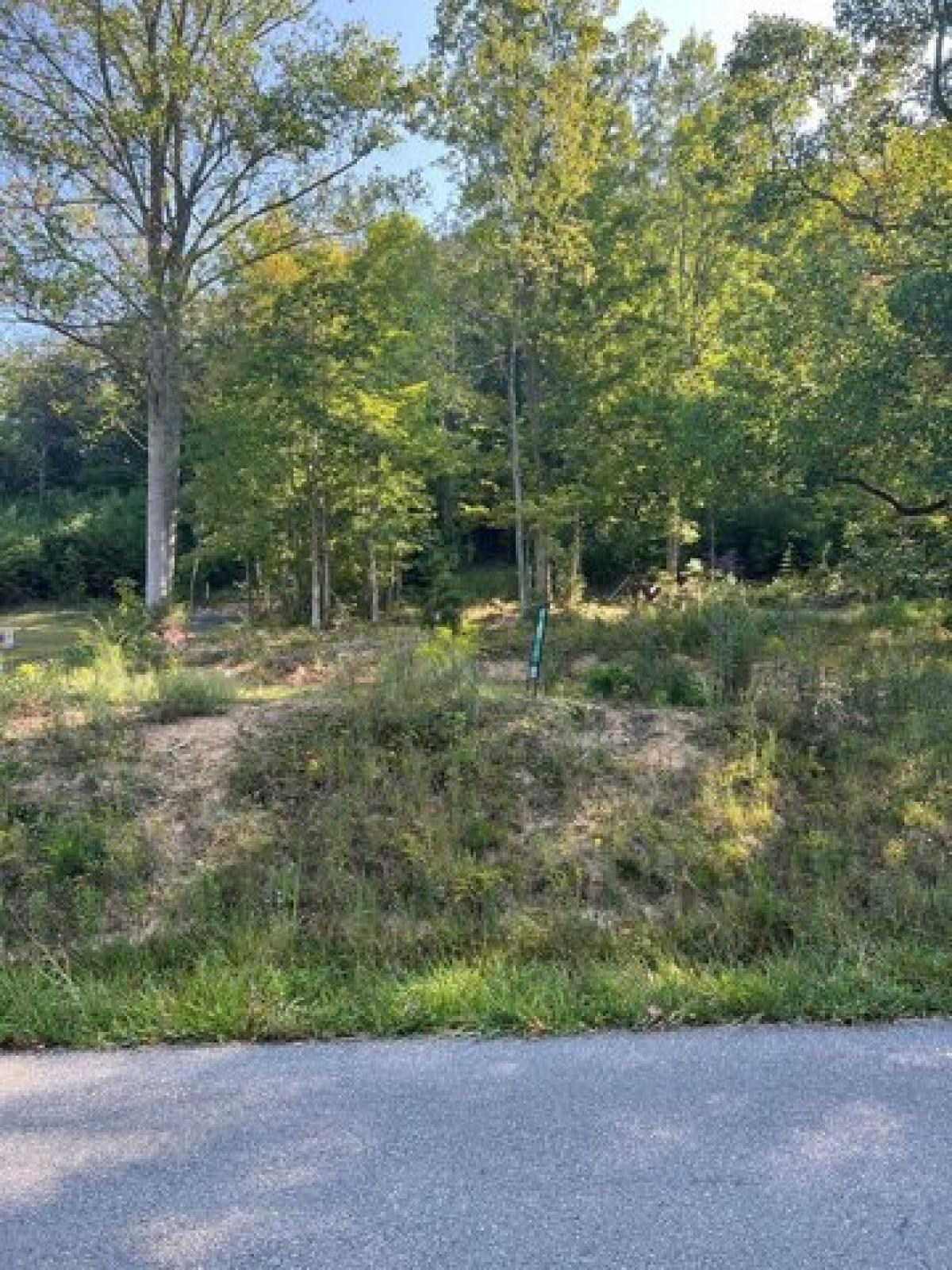 Picture of Residential Land For Sale in Marion, Virginia, United States