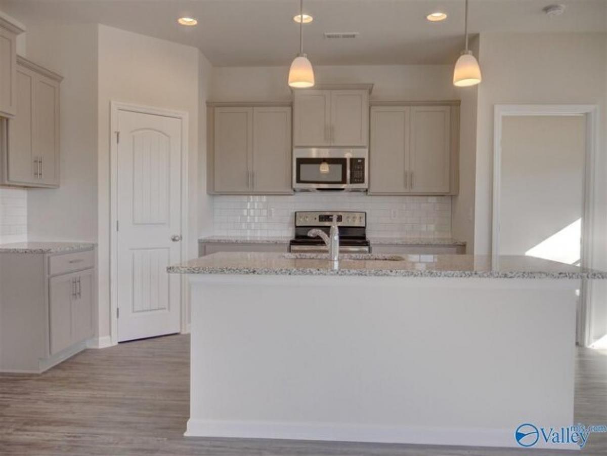 Picture of Home For Rent in Madison, Alabama, United States