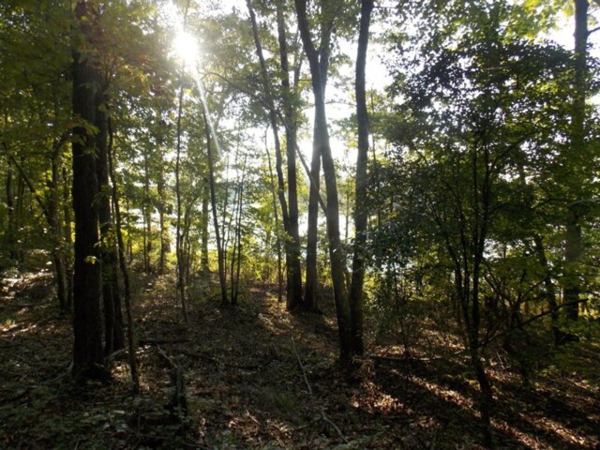 Picture of Residential Land For Sale in Lincolnton, Georgia, United States