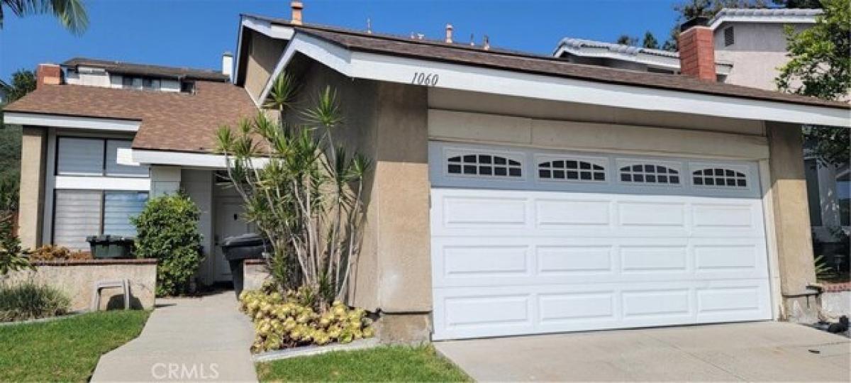 Picture of Home For Rent in Brea, California, United States