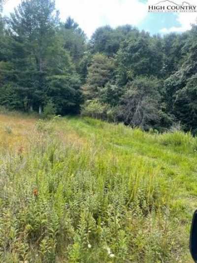 Residential Land For Sale in West Jefferson, North Carolina