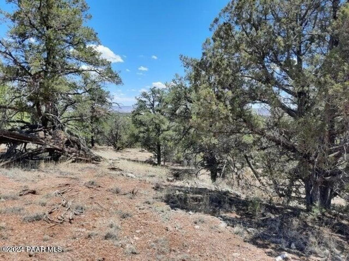 Picture of Residential Land For Rent in Seligman, Arizona, United States