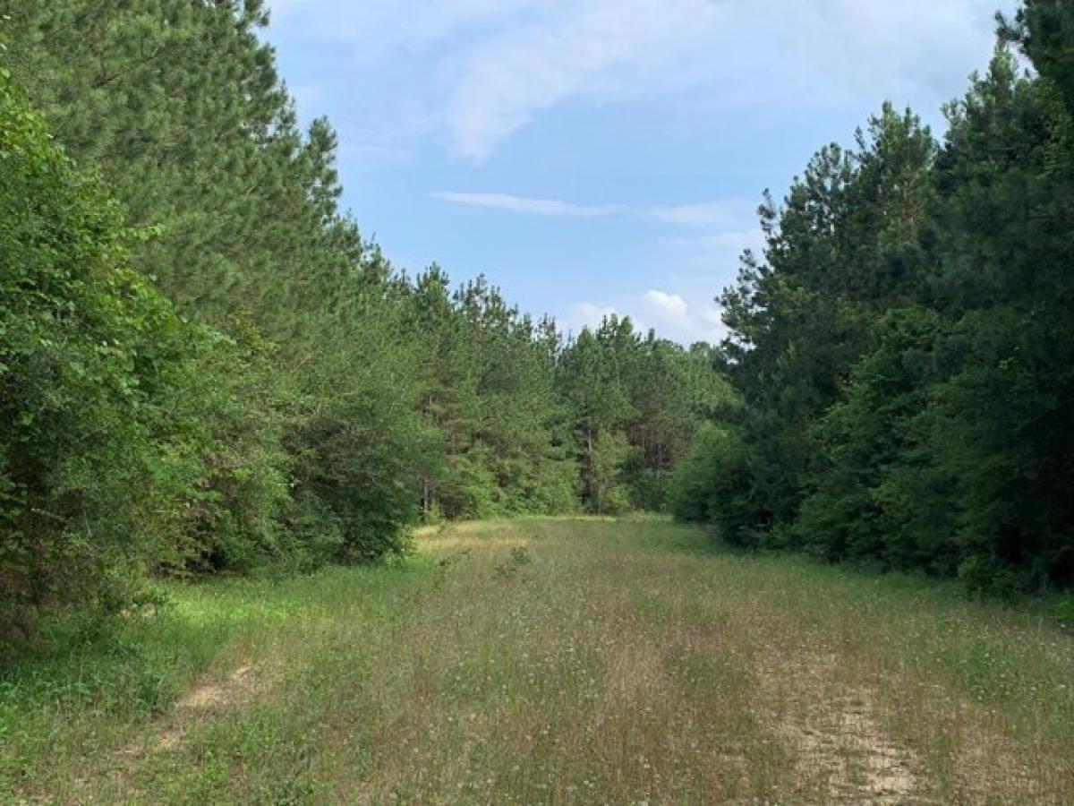 Picture of Residential Land For Sale in Foxworth, Mississippi, United States