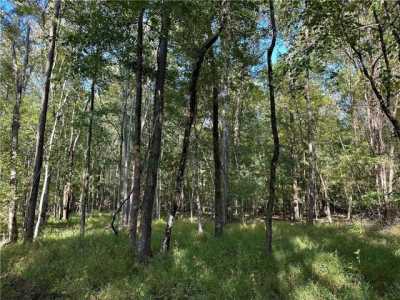Residential Land For Sale in Salem, Alabama