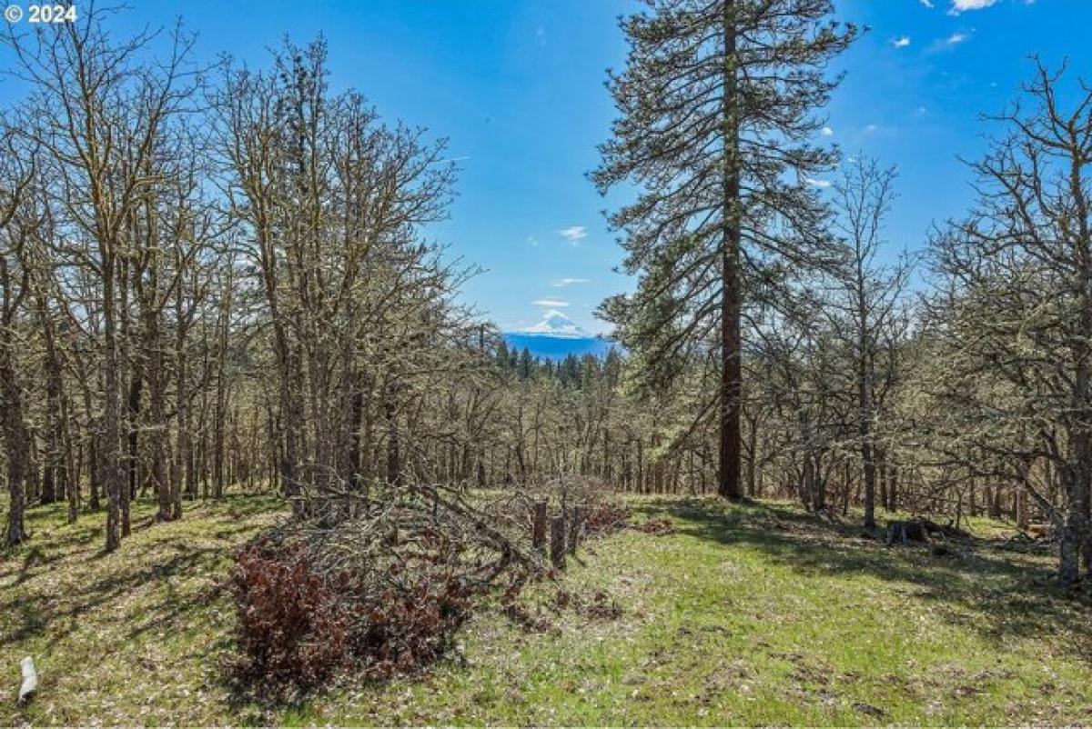 Picture of Residential Land For Sale in Lyle, Washington, United States