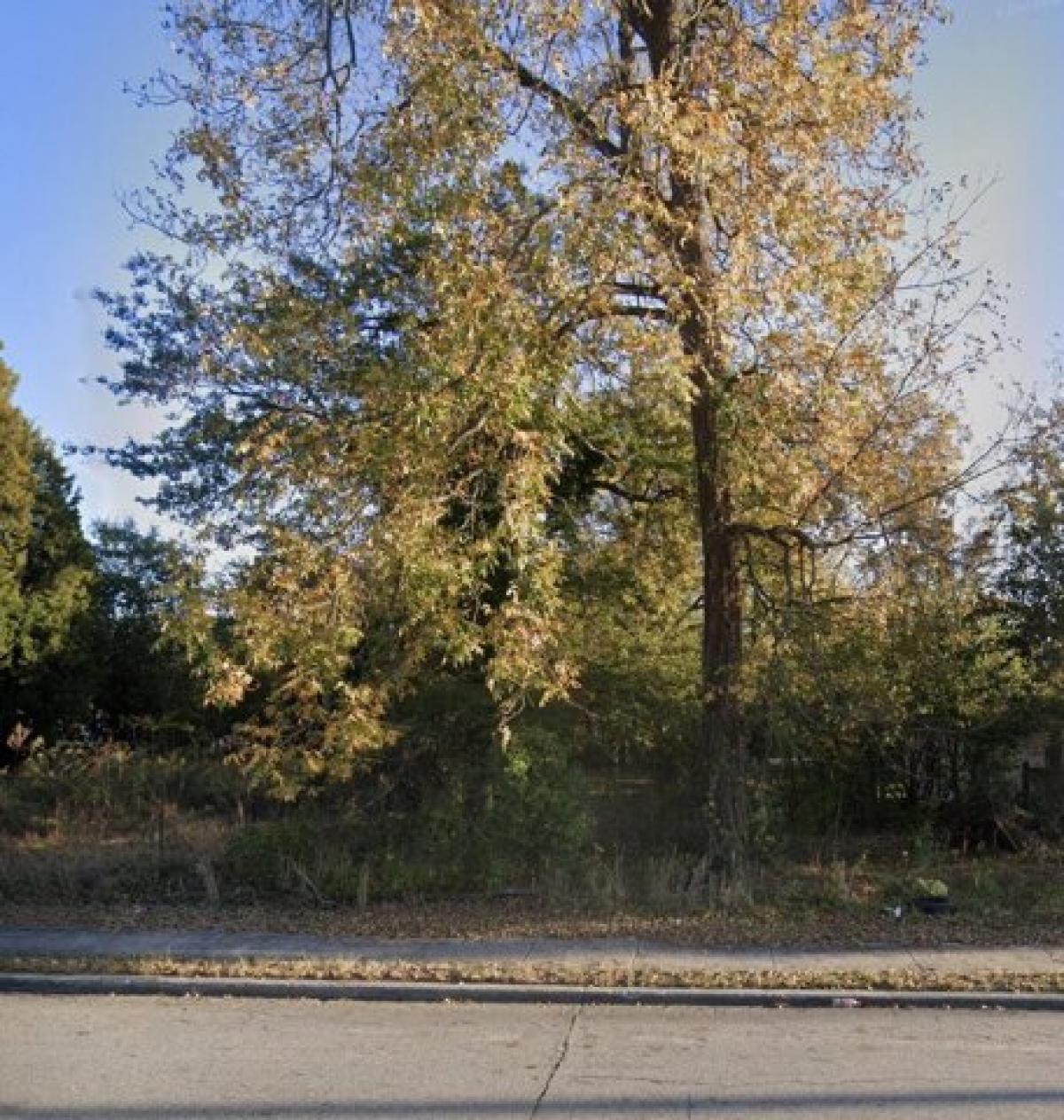 Picture of Residential Land For Sale in Augusta, Georgia, United States